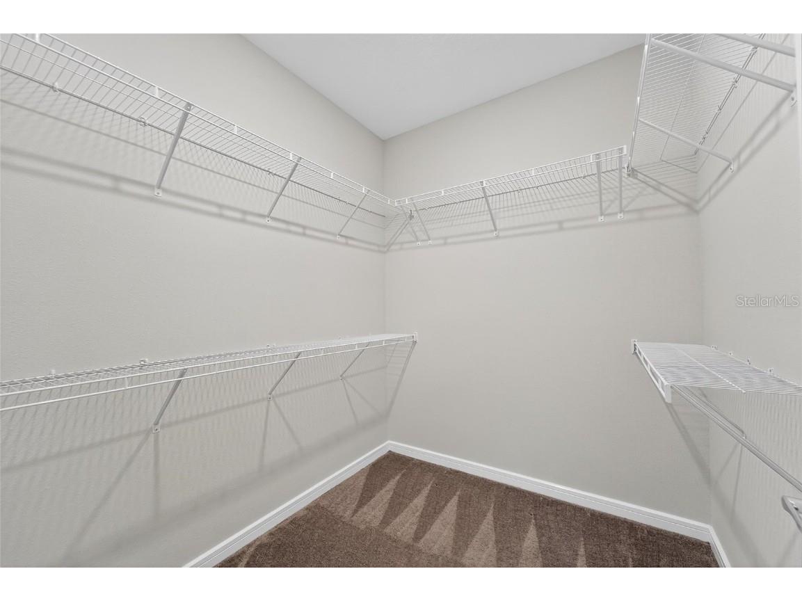 5500 Blue Crush Bend Land O Lakes FL 34638 S5132707 image29