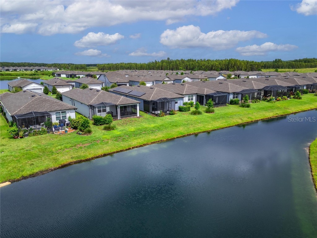 5500 Blue Crush Bend Land O Lakes FL 34638 S5132707 image3