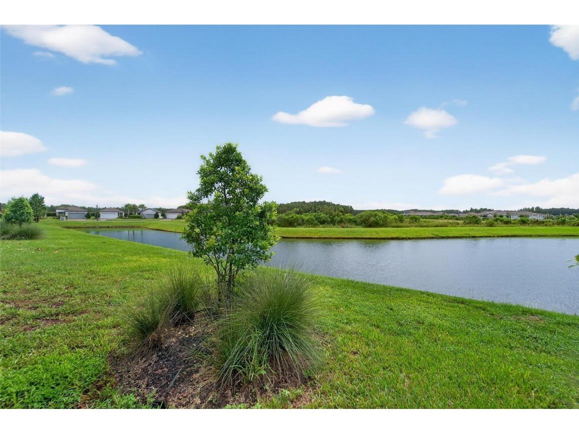 5500 Blue Crush Bend Land O Lakes FL 34638 S5132707 image43