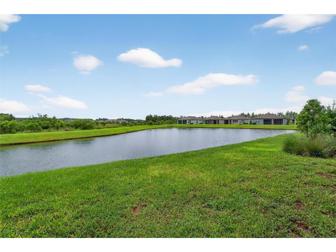 5500 Blue Crush Bend Land O Lakes FL 34638 S5132707 image45