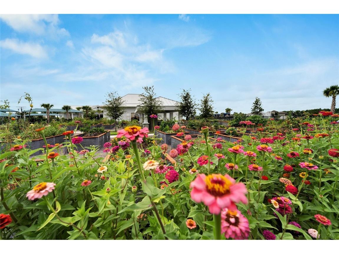 5500 Blue Crush Bend Land O Lakes FL 34638 S5132707 image69