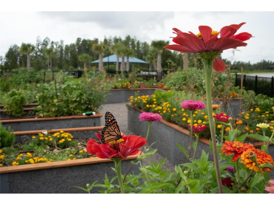 5500 Blue Crush Bend Land O Lakes FL 34638 S5132707 image70