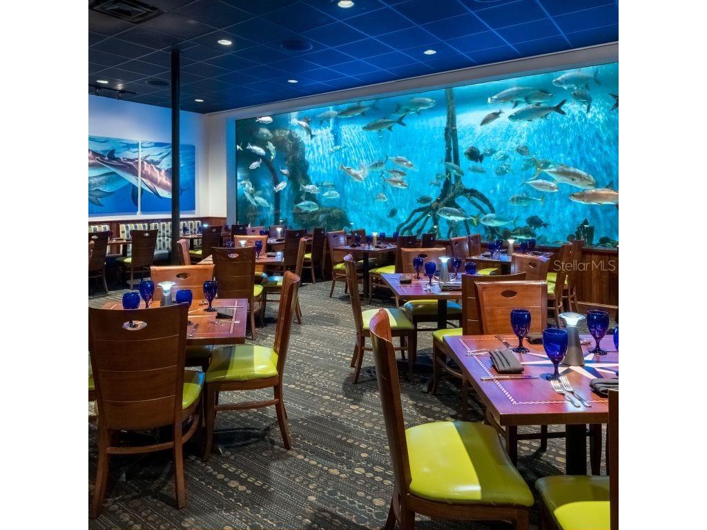 5500 Gulf Boulevard #2237 Saint Pete Beach FL 33706 - GULF OF MEXICO TB8319540 image26