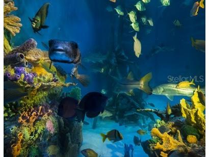 5500 Gulf Boulevard #2237 Saint Pete Beach FL 33706 - GULF OF MEXICO TB8319540 image27