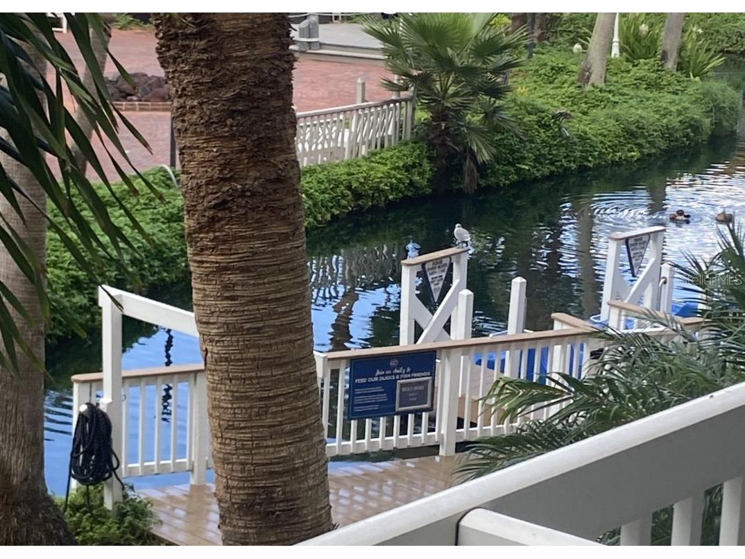 5500 Gulf Boulevard #2241 Saint Pete Beach FL 33706 - GULF OF MEXICO TB8458056 image2