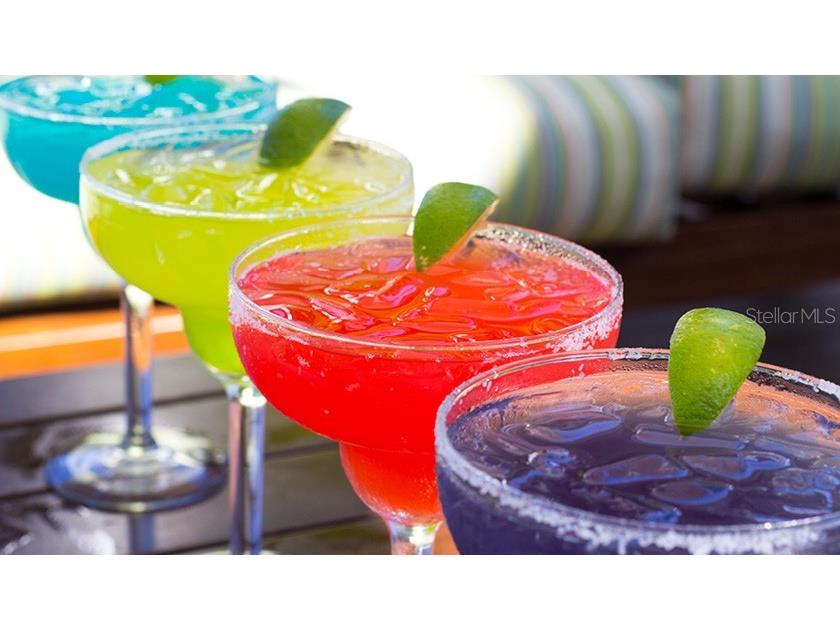 5500 Gulf Boulevard #2241 Saint Pete Beach FL 33706 - GULF OF MEXICO TB8458056 image29