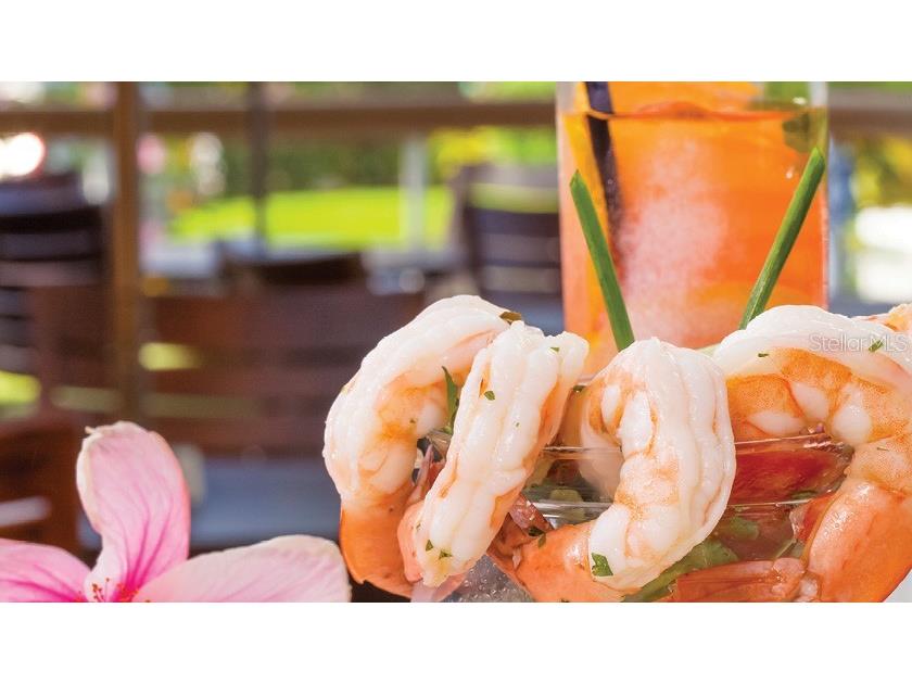 5500 Gulf Boulevard #3219 Saint Pete Beach FL 33706 - GULF OF MEXICO TB8453477 image32