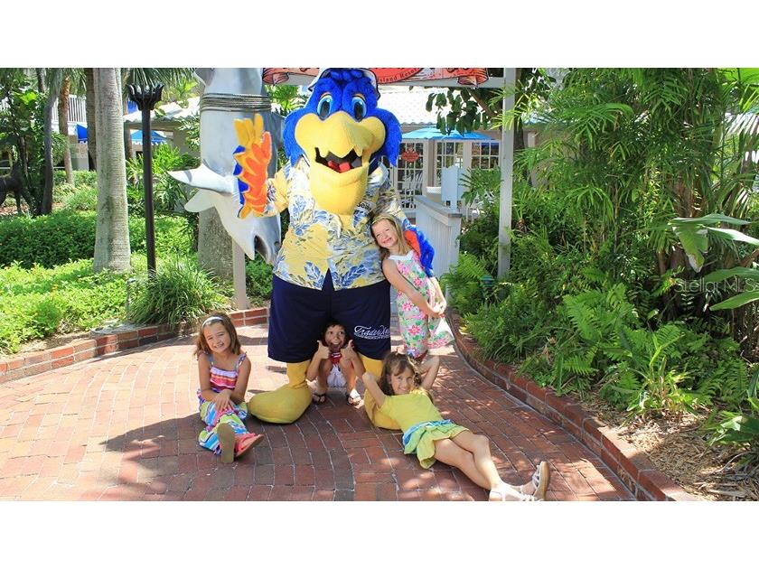 5500 Gulf Boulevard #4246 Saint Pete Beach FL 33706 - GULF OF MEXICO TB8504443 image49