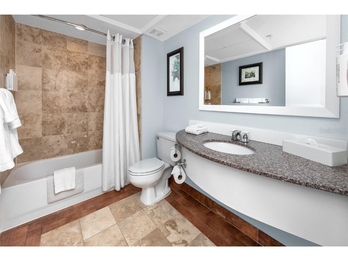 5500 Gulf Boulevard #4246 Saint Petersburg FL 33706 - GULF OF MEXICO TB8457302 image10