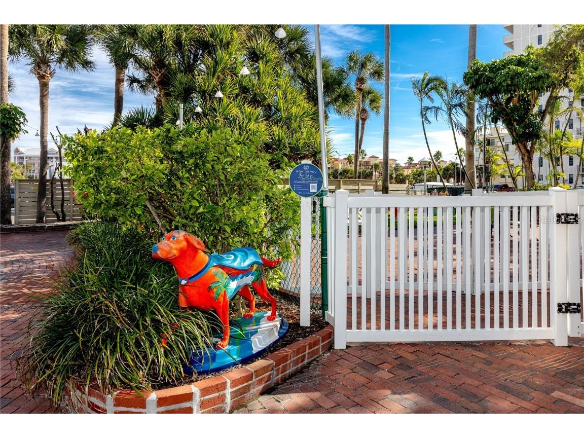 5500 Gulf Boulevard #4246 Saint Petersburg FL 33706 - GULF OF MEXICO TB8457302 image38