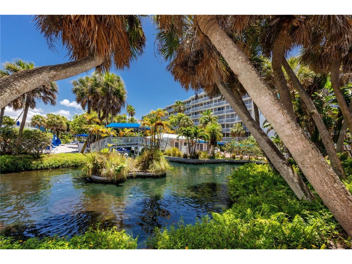 5500 Gulf Boulevard #4246 Saint Petersburg FL 33706 - GULF OF MEXICO TB8457302 image42