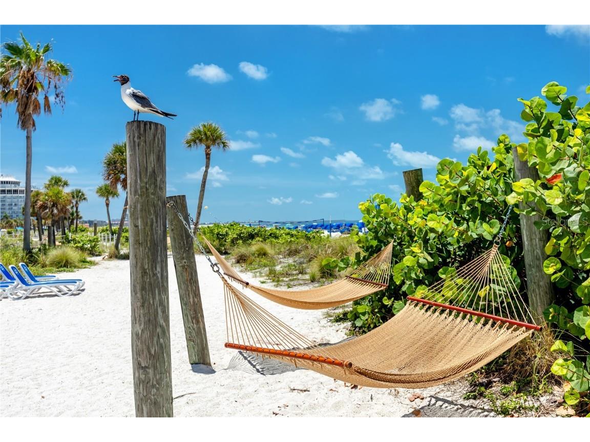 5500 Gulf Boulevard #4246 Saint Petersburg FL 33706 - GULF OF MEXICO TB8457302 image49