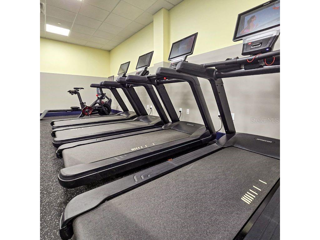 5500 Gulf Boulevard #7213 Saint Petersburg FL 33706 TB8506543 image26