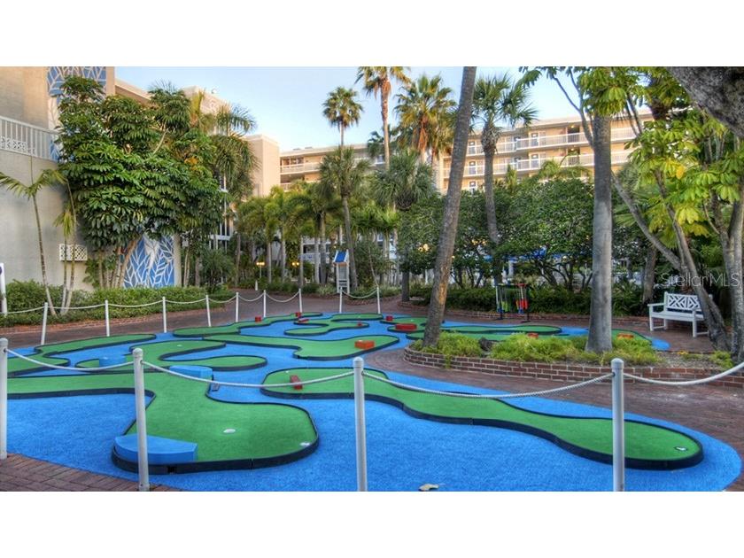 5500 Gulf Boulevard #7213 Saint Petersburg FL 33706 TB8506543 image49