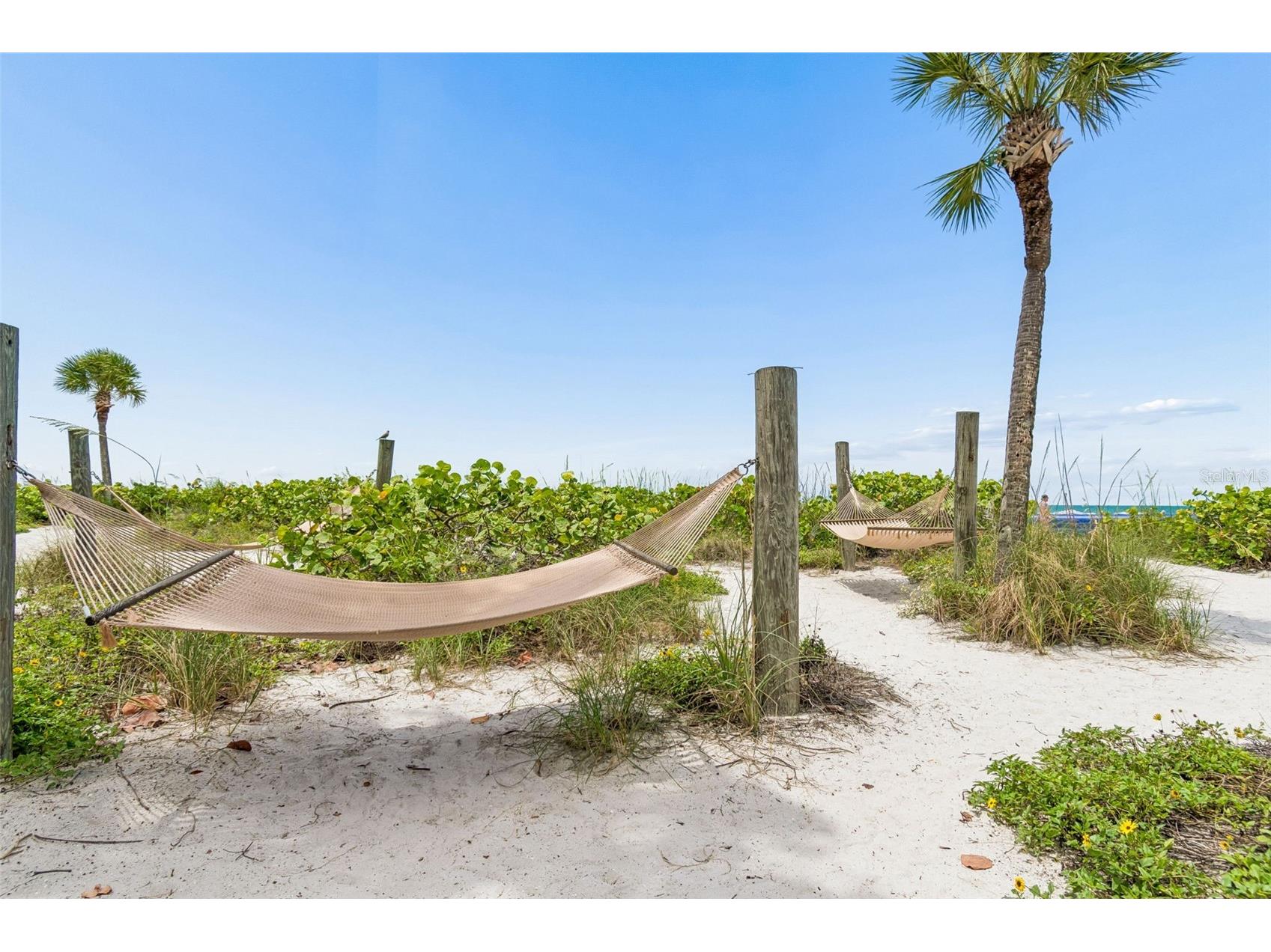 5500 Gulf Boulevard #7230 Saint Pete Beach FL 33706 - GULF OF AMERICA TB8514778 image21