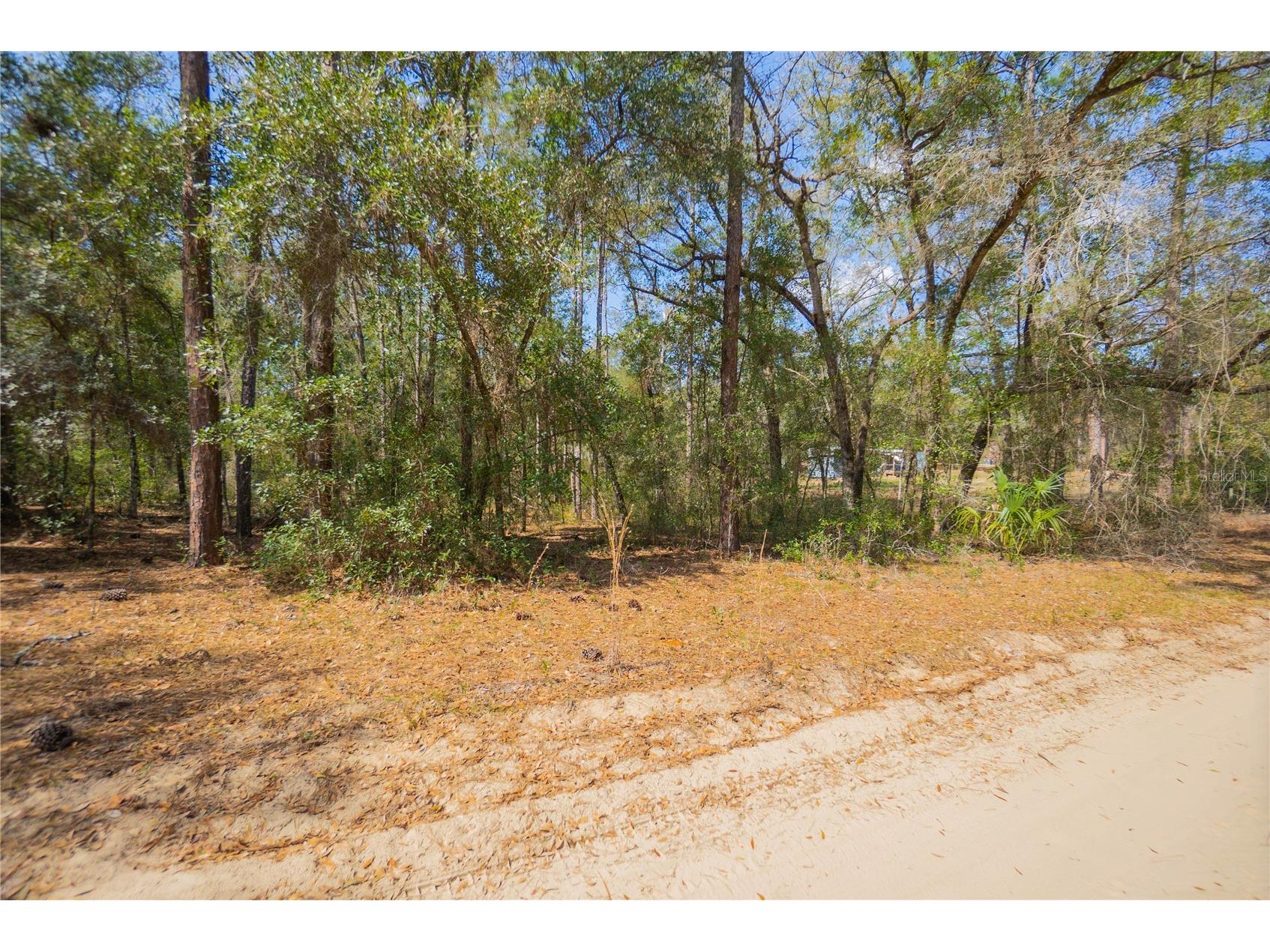 5500 S Cherokee Terrace Inverness FL 34452 W7883538 image10