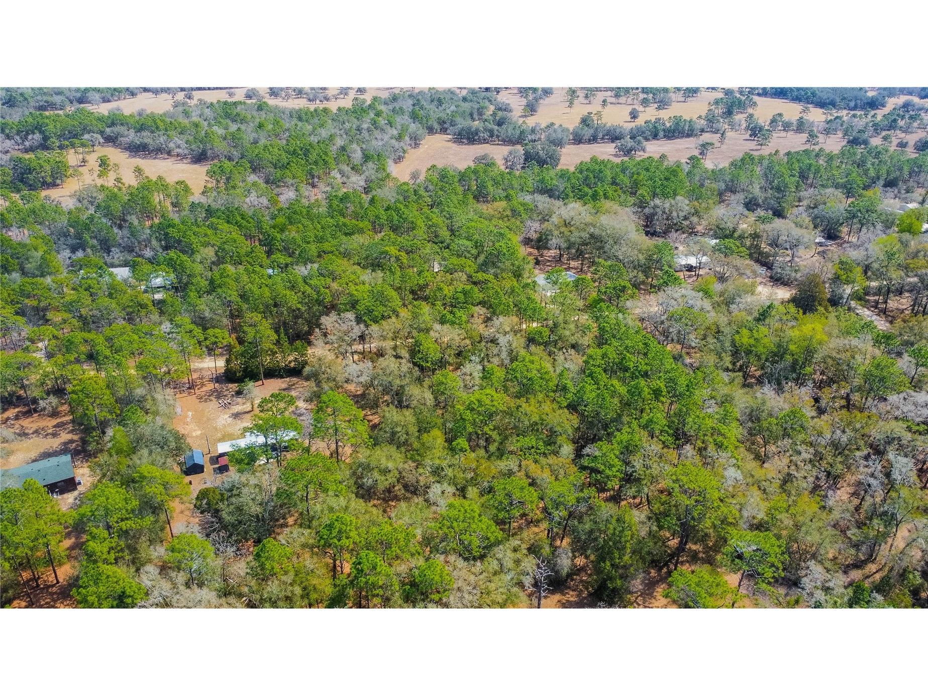 5500 S Cherokee Terrace Inverness FL 34452 W7883538 image11