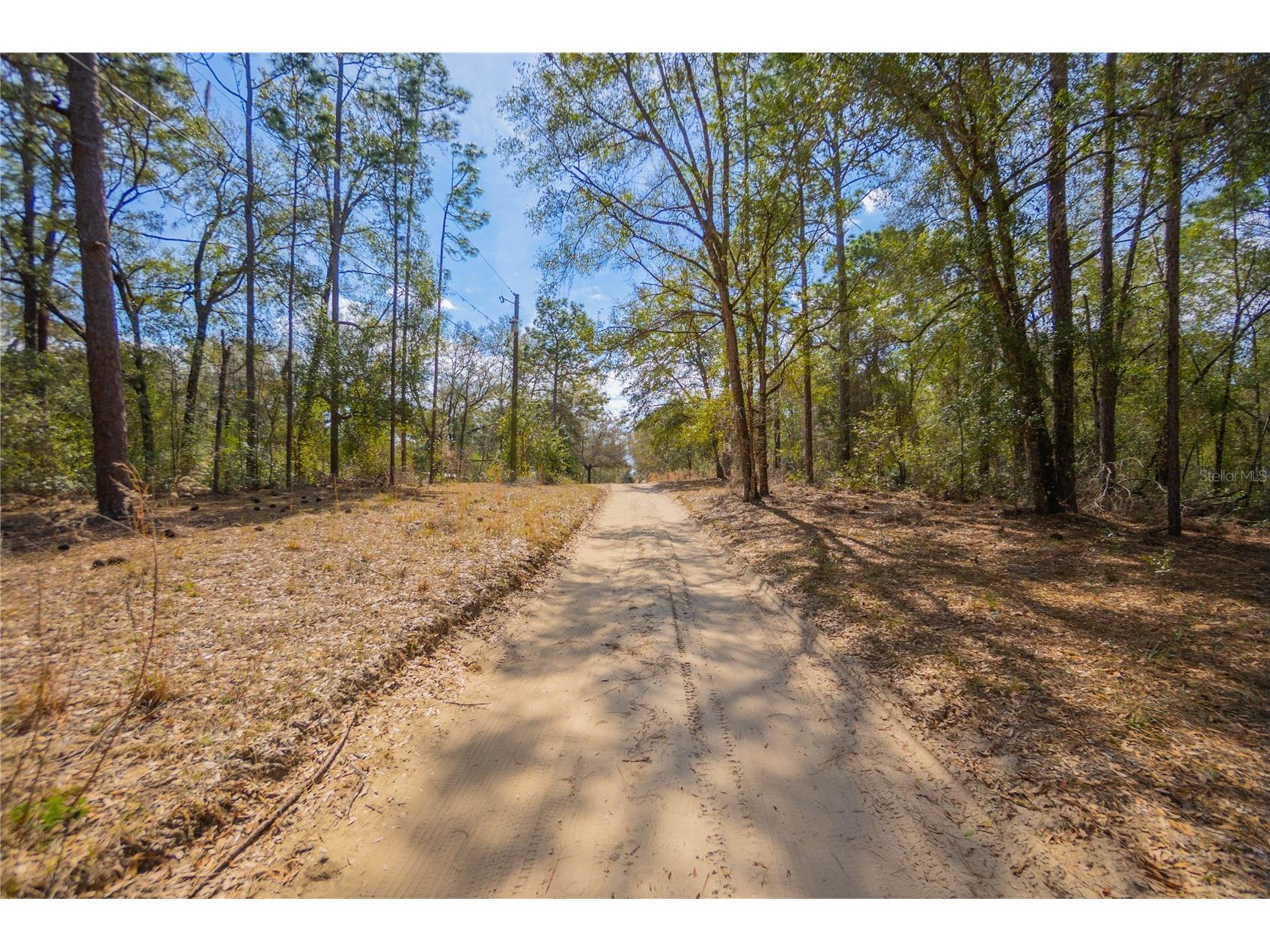 5500 S Cherokee Terrace Inverness FL 34452 W7883538 image12