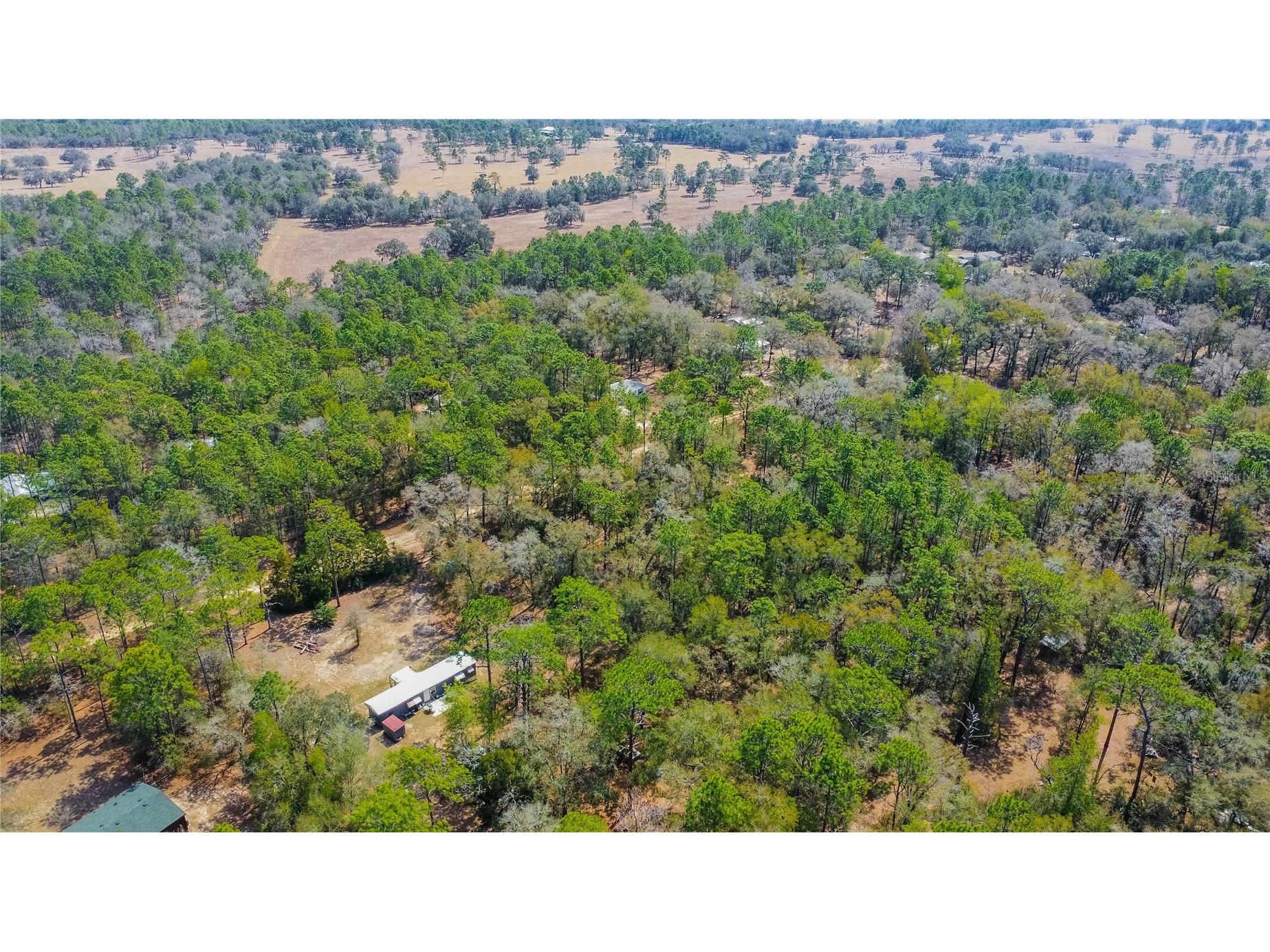 5500 S Cherokee Terrace Inverness FL 34452 W7883538 image14