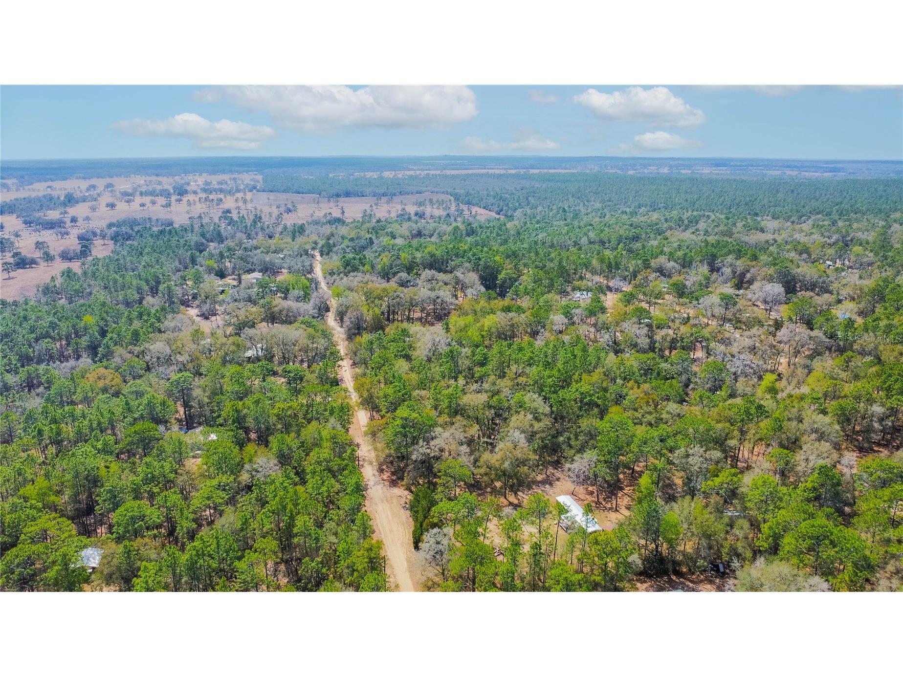 5500 S Cherokee Terrace Inverness FL 34452 W7883538 image16