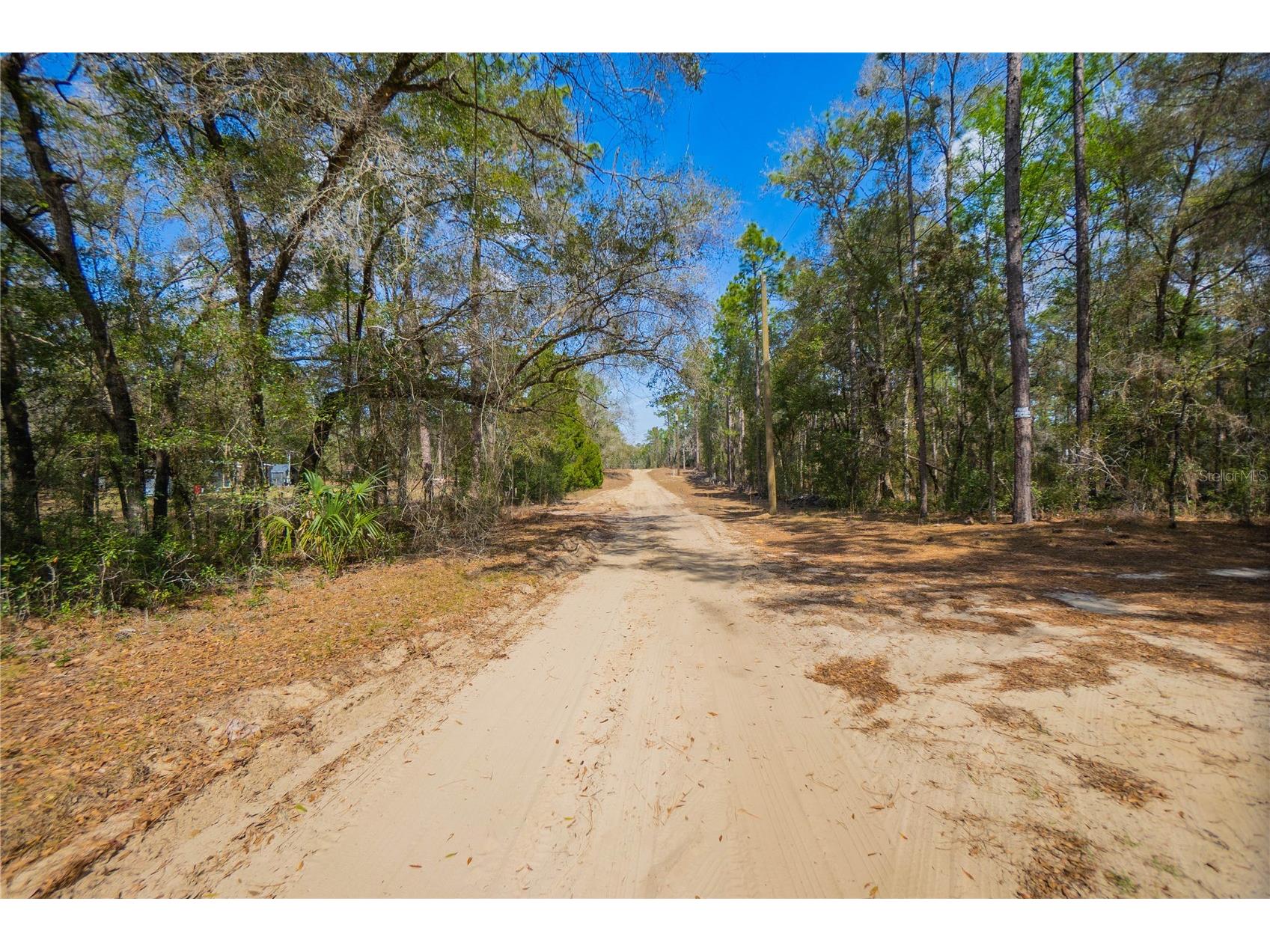5500 S Cherokee Terrace Inverness FL 34452 W7883538 image17