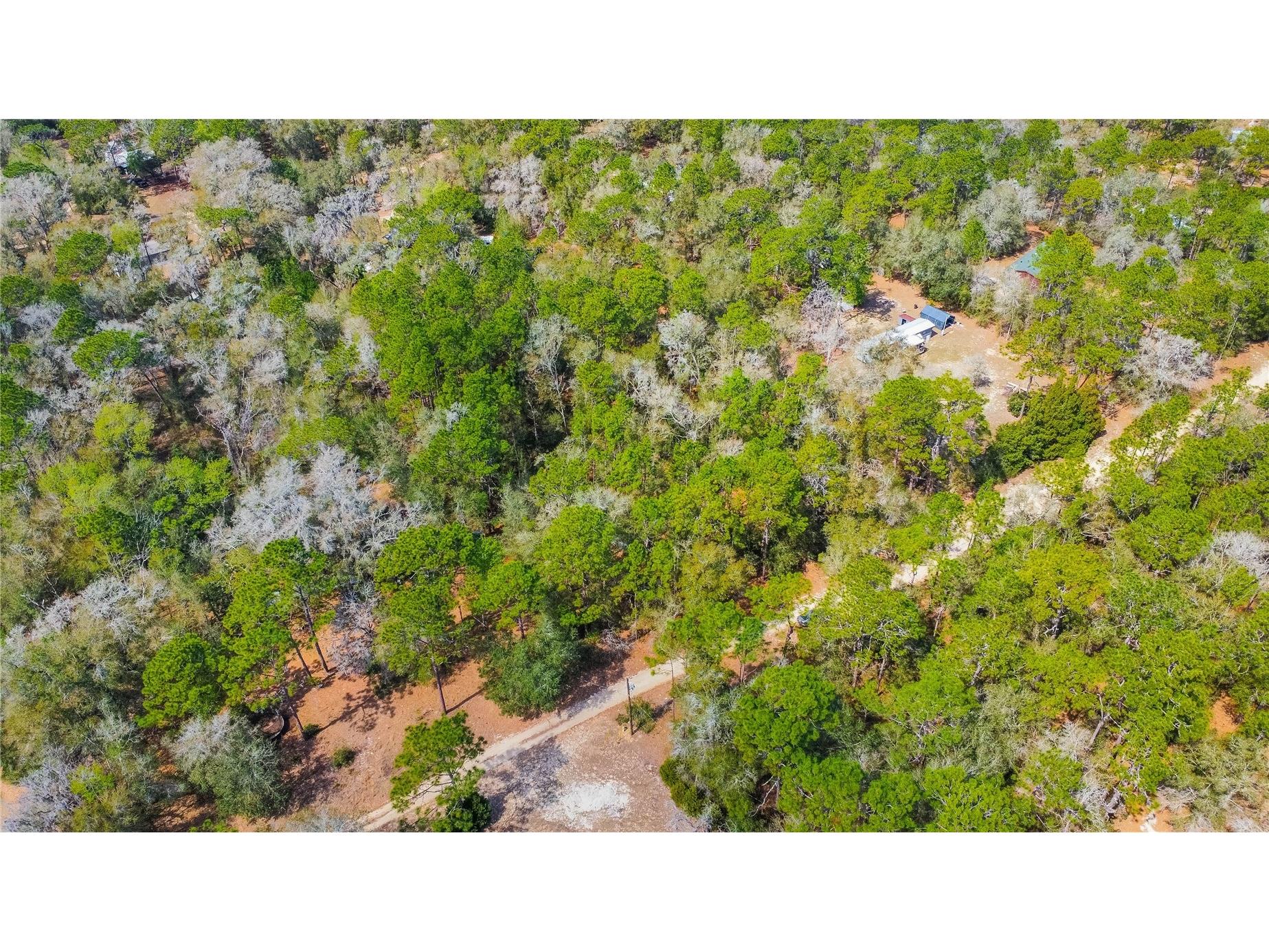 5500 S Cherokee Terrace Inverness FL 34452 W7883538 image18