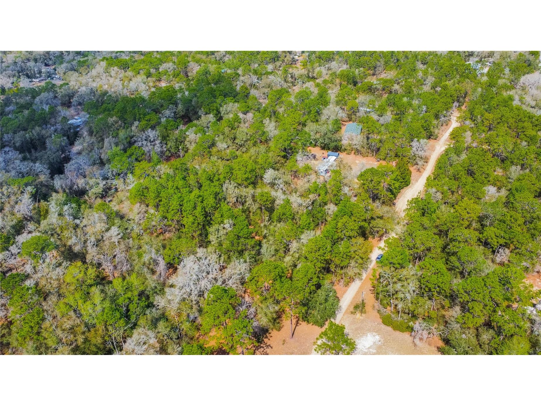 5500 S Cherokee Terrace Inverness FL 34452 W7883538 image2