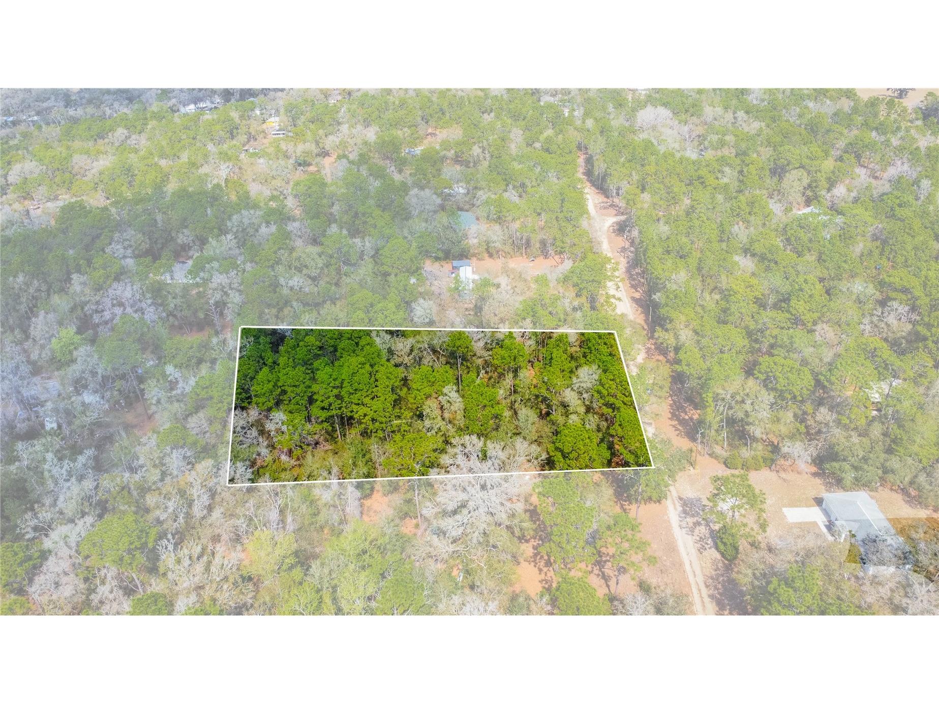 5500 S Cherokee Terrace Inverness FL 34452 W7883538 image3