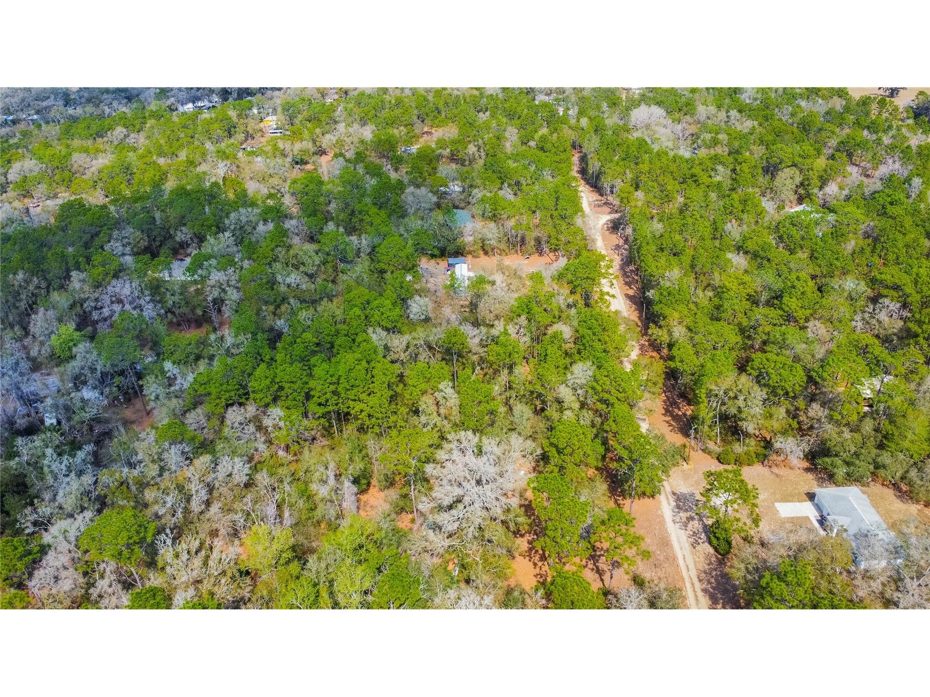 5500 S Cherokee Terrace Inverness FL 34452 W7883538 image4