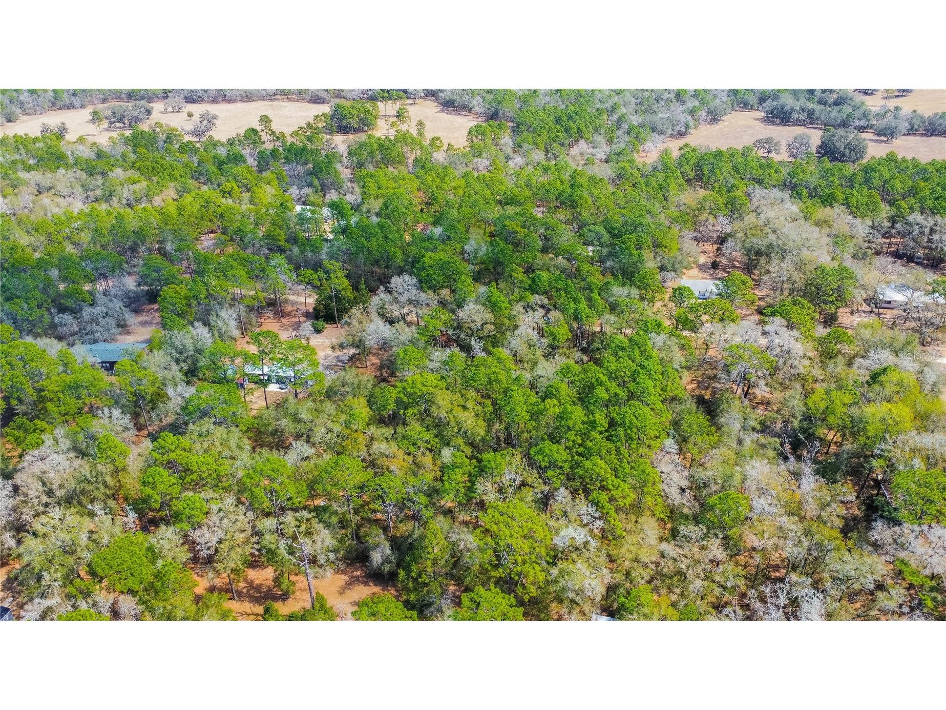 5500 S Cherokee Terrace Inverness FL 34452 W7883538 image8