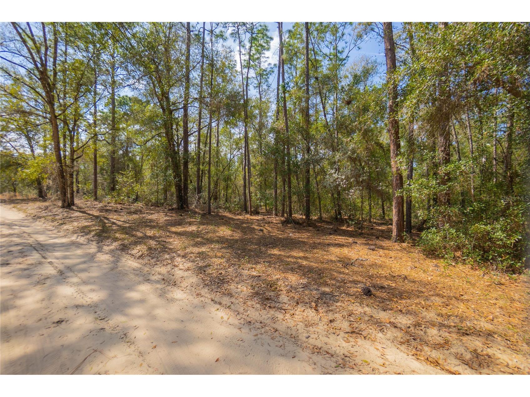 5500 S Cherokee Terrace Inverness FL 34452 W7883538 image9