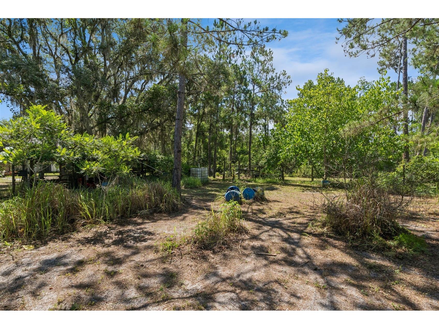 5500 Ventura Acres Road Groveland FL 34736 G5114586 image31