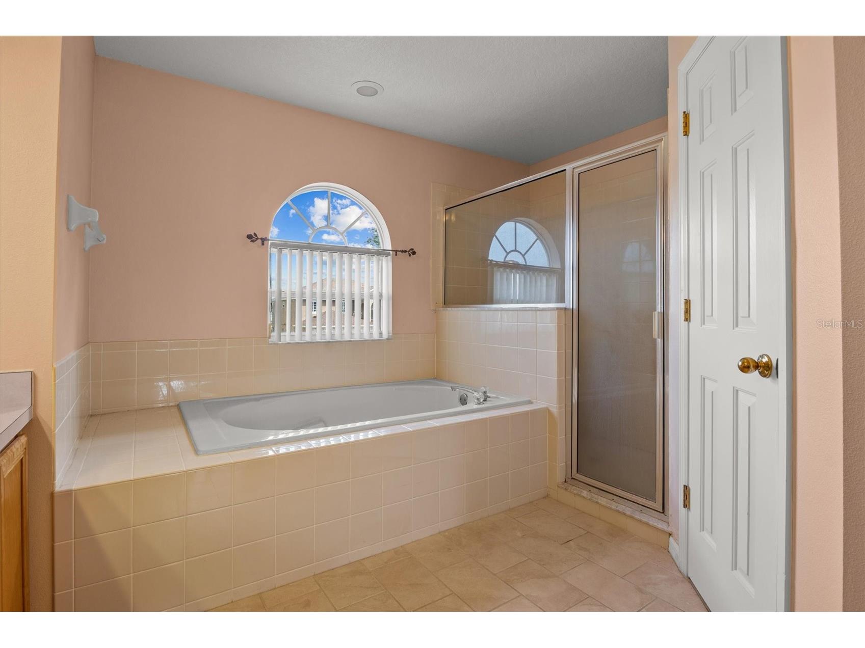 5500 Willow Bend Trail Kissimmee FL 34758 S5147335 image19