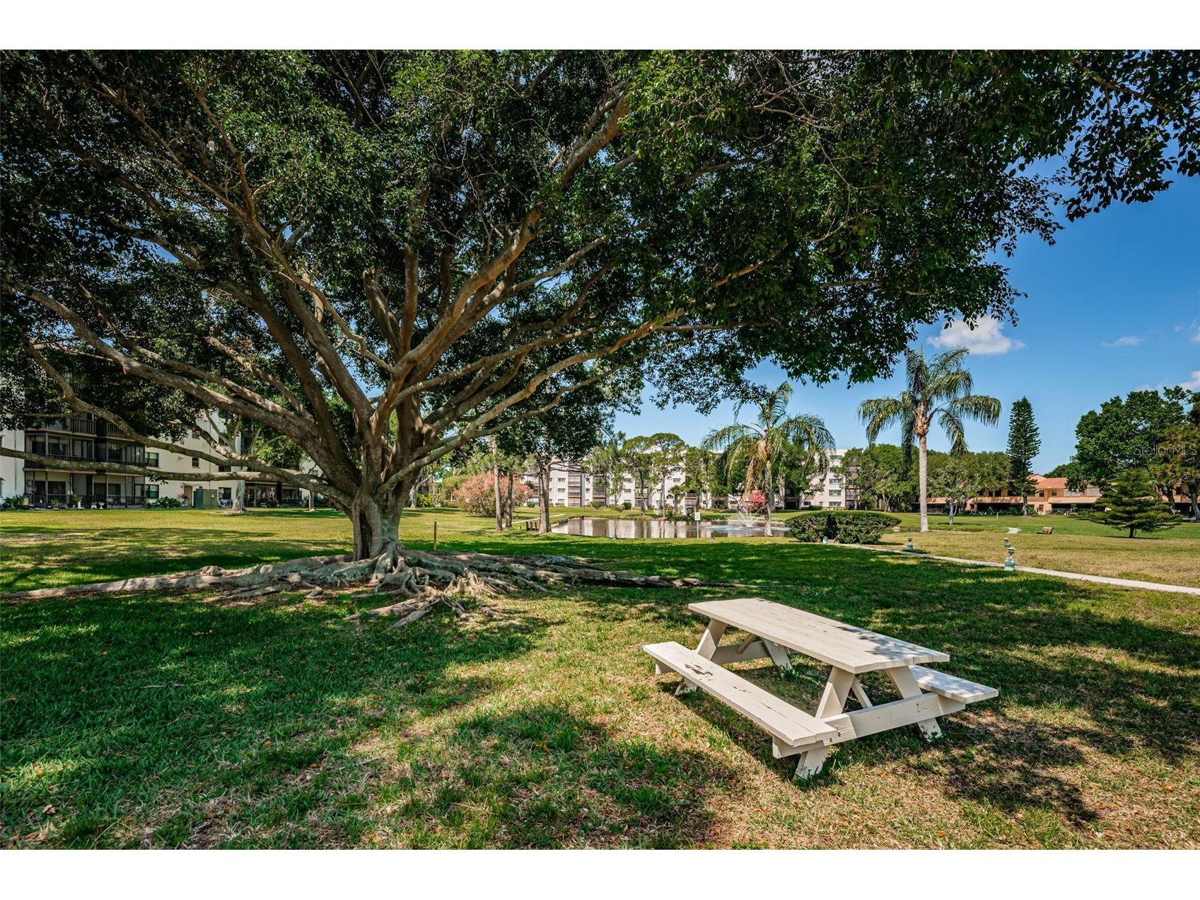 5501 80th Street N #405 Saint Petersburg FL 33709 TB8442006 image40