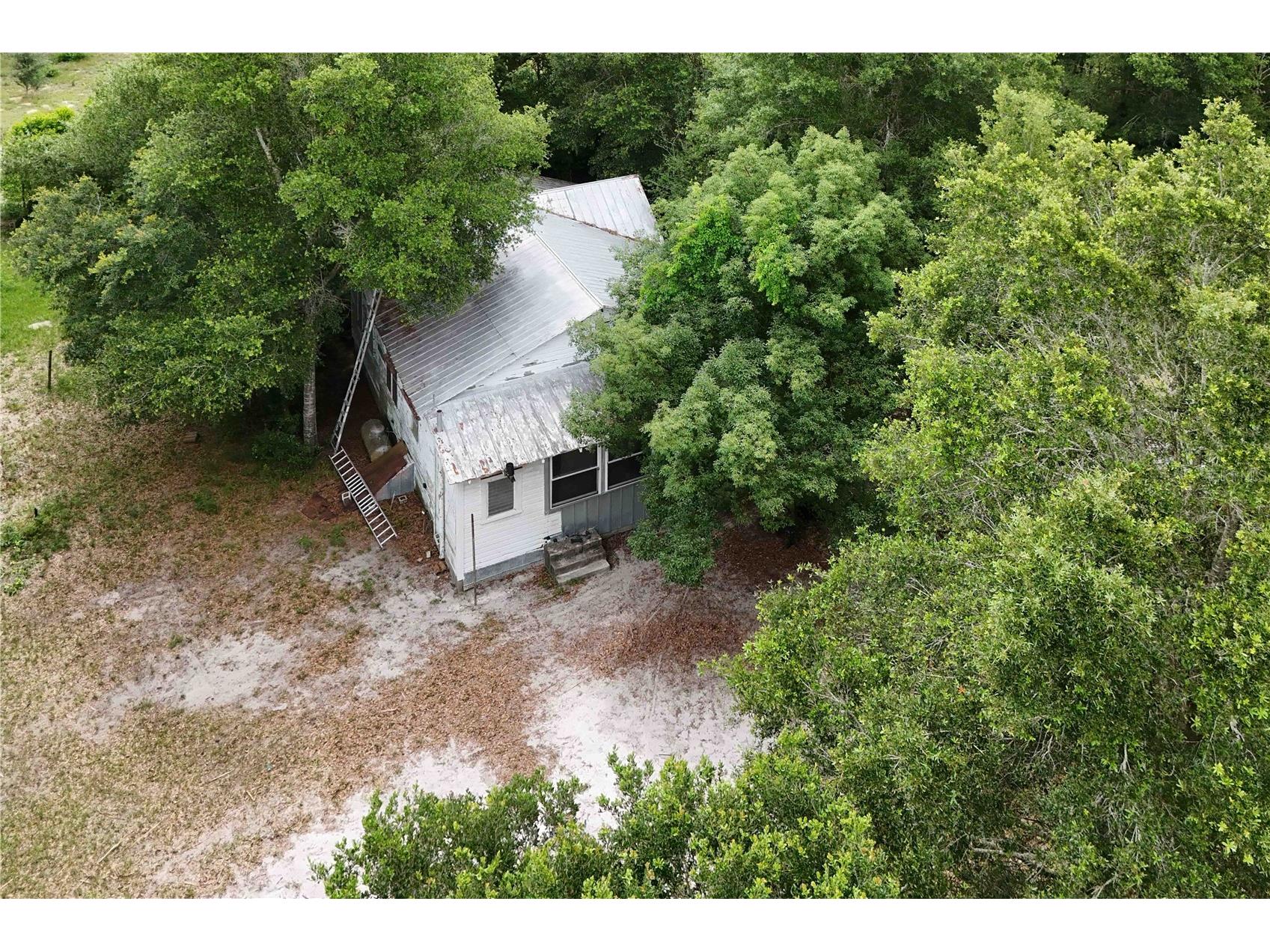 5501 Cemetery & Sadler Roads Mount Dora FL 32757 O6413576 image13