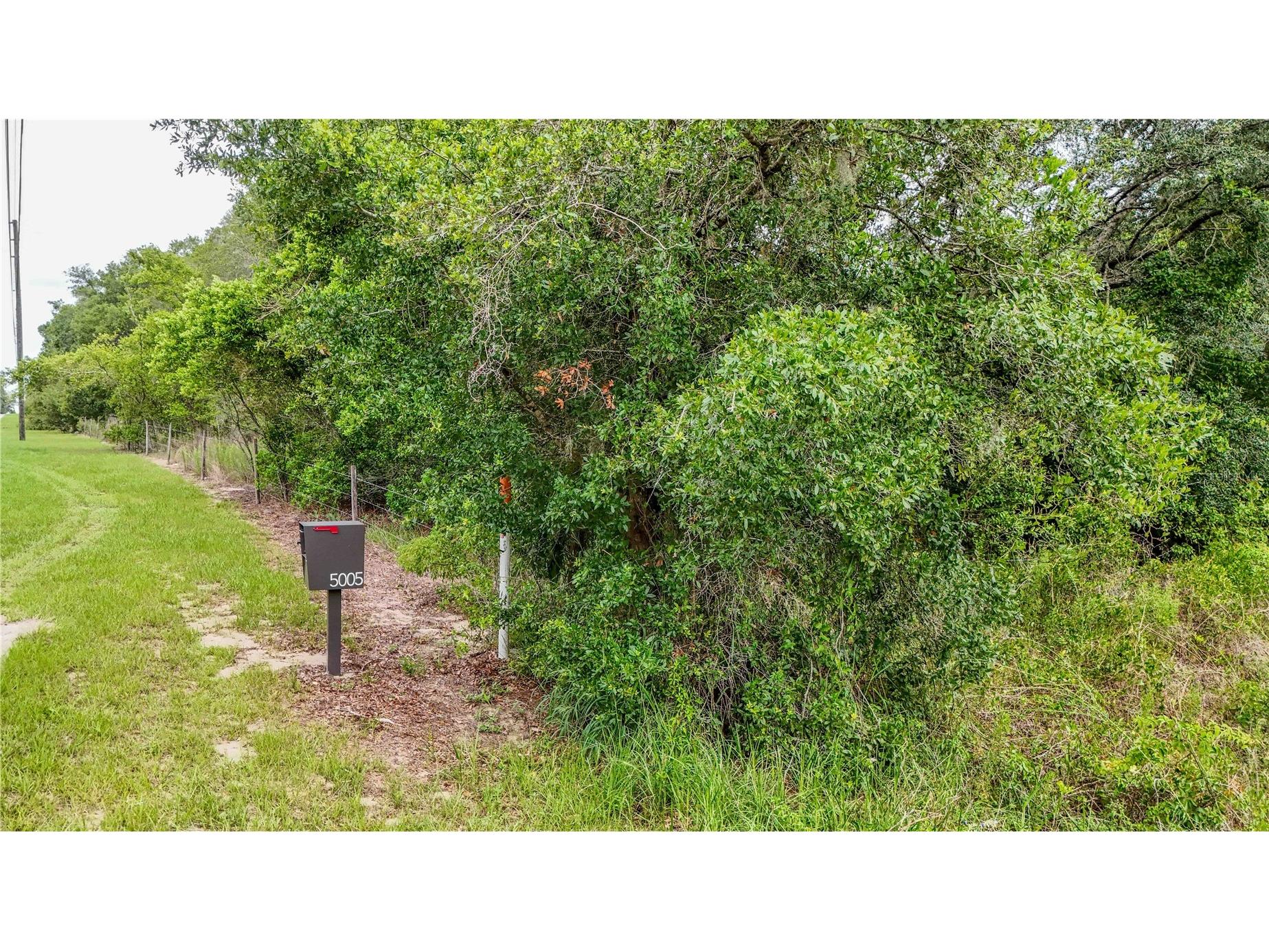 5501 Cemetery & Sadler Roads Mount Dora FL 32757 O6413576 image14