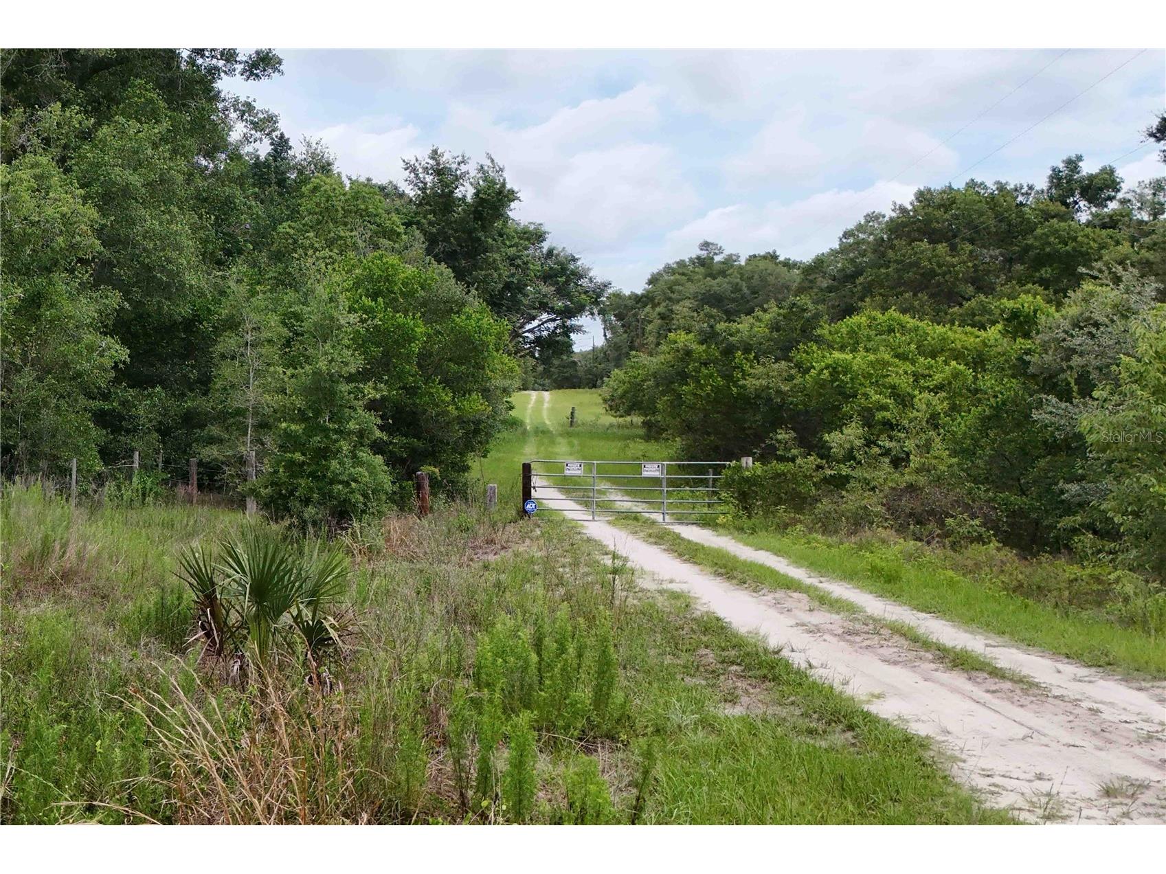 5501 Cemetery & Sadler Roads Mount Dora FL 32757 O6413576 image16