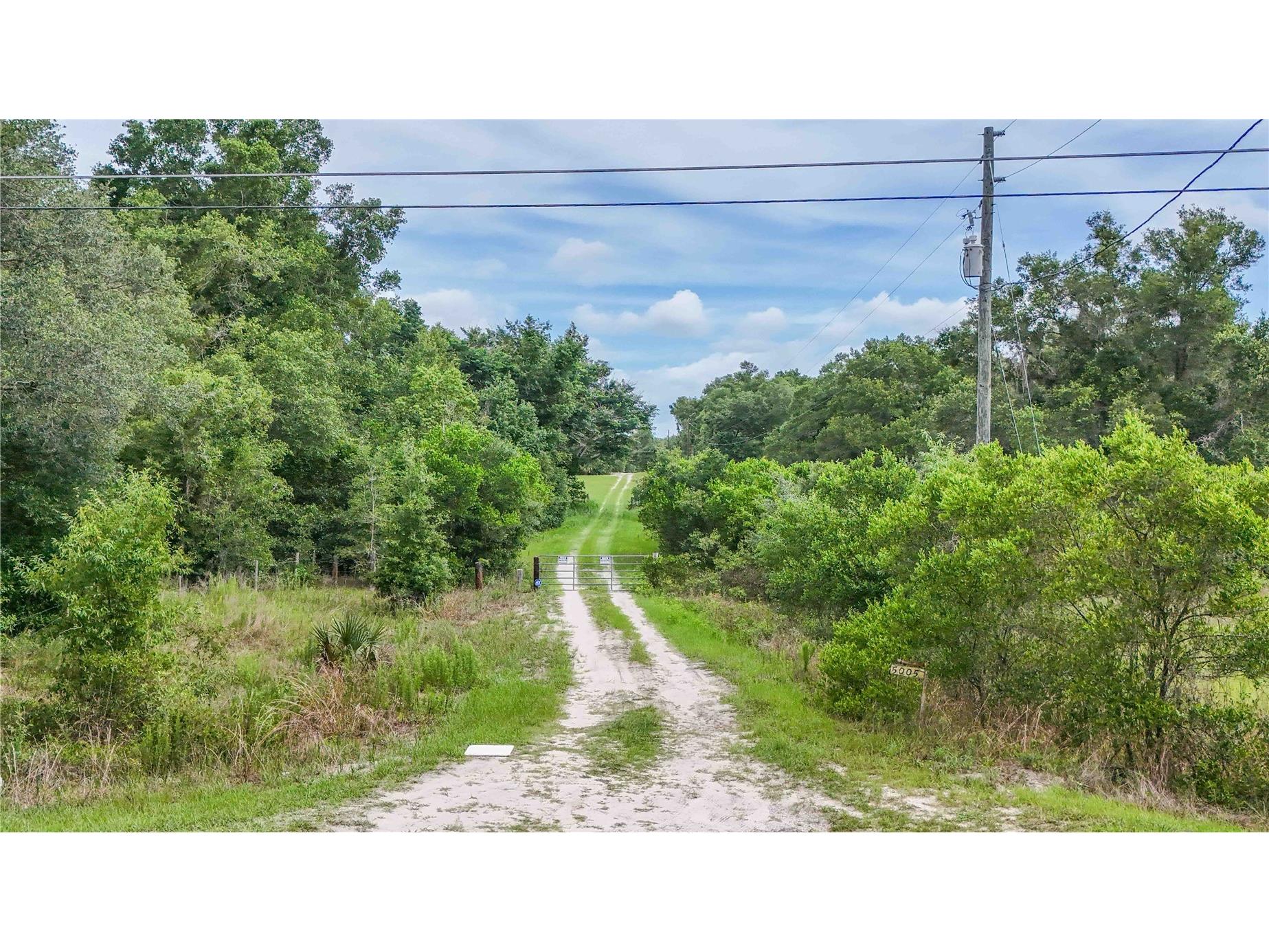 5501 Cemetery & Sadler Roads Mount Dora FL 32757 O6413576 image4