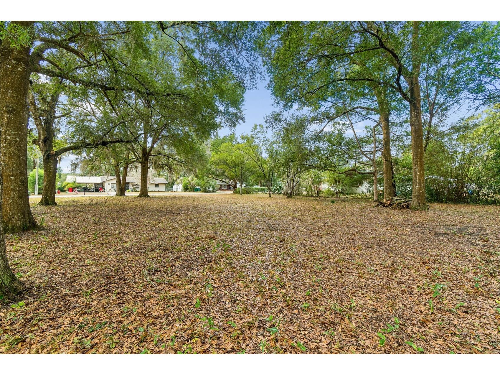 5501 E Live Oak Lane Inverness FL 34453 TB8471066 image14