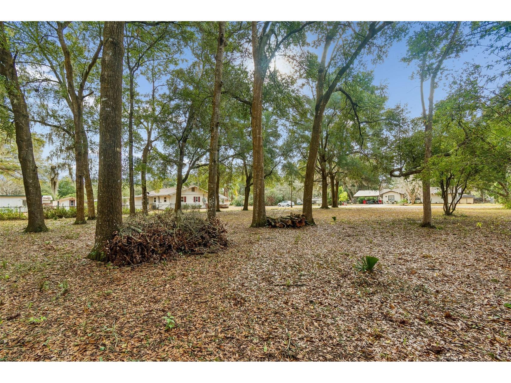 5501 E Live Oak Lane Inverness FL 34453 TB8471066 image16