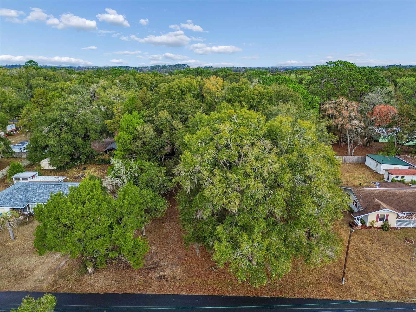 5501 E Live Oak Lane Inverness FL 34453 TB8471066 image22