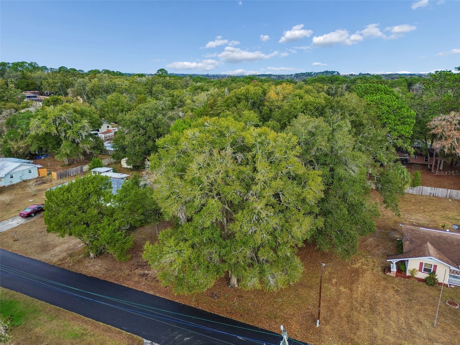 5501 E Live Oak Lane Inverness FL 34453 TB8471066 image23