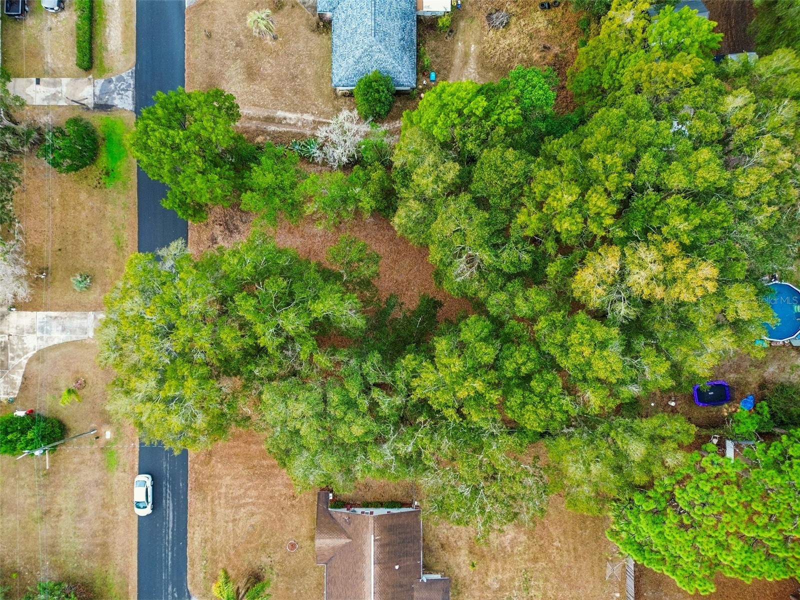 5501 E Live Oak Lane Inverness FL 34453 TB8471066 image33