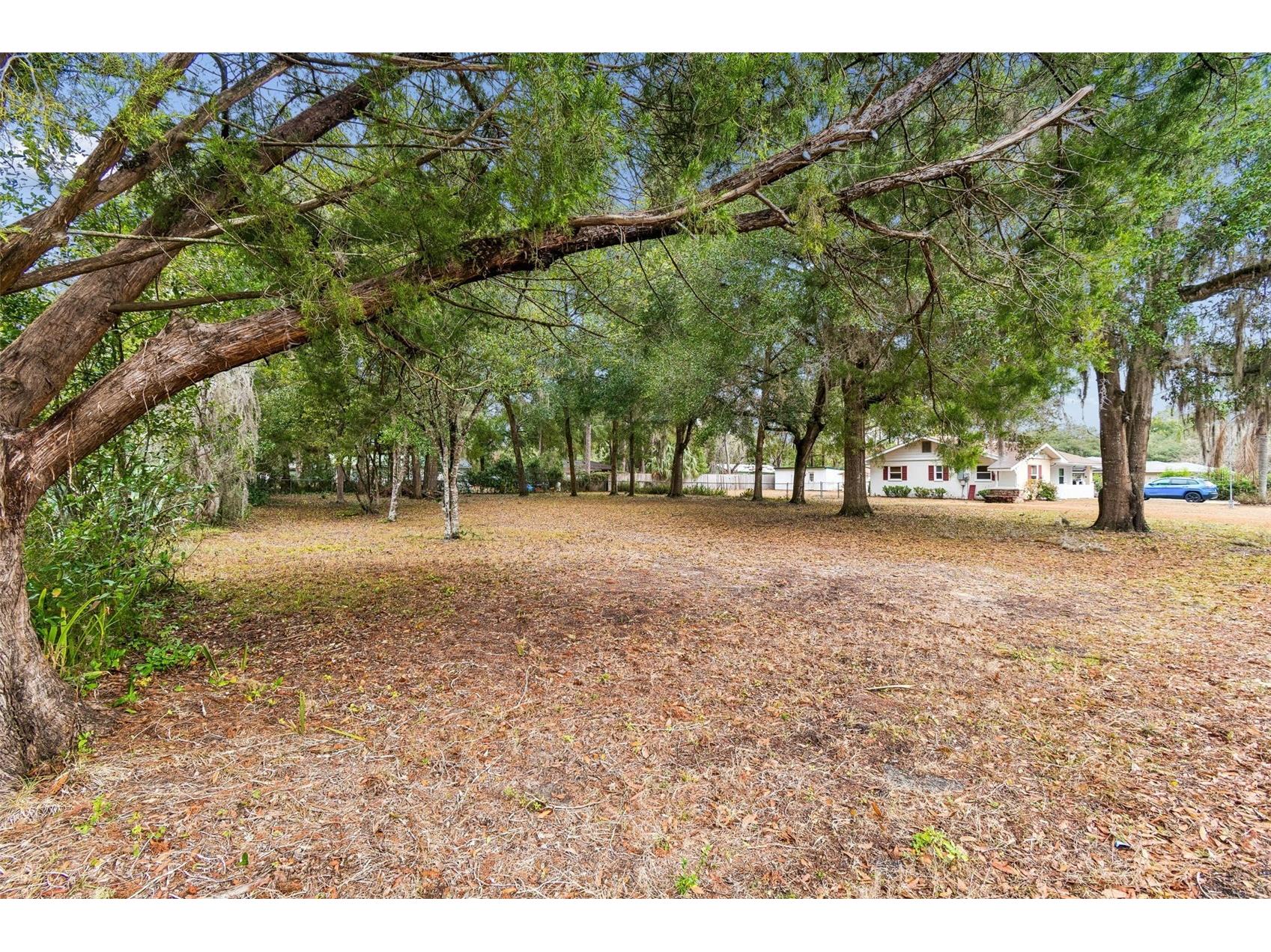 5501 E Live Oak Lane Inverness FL 34453 TB8471066 image4