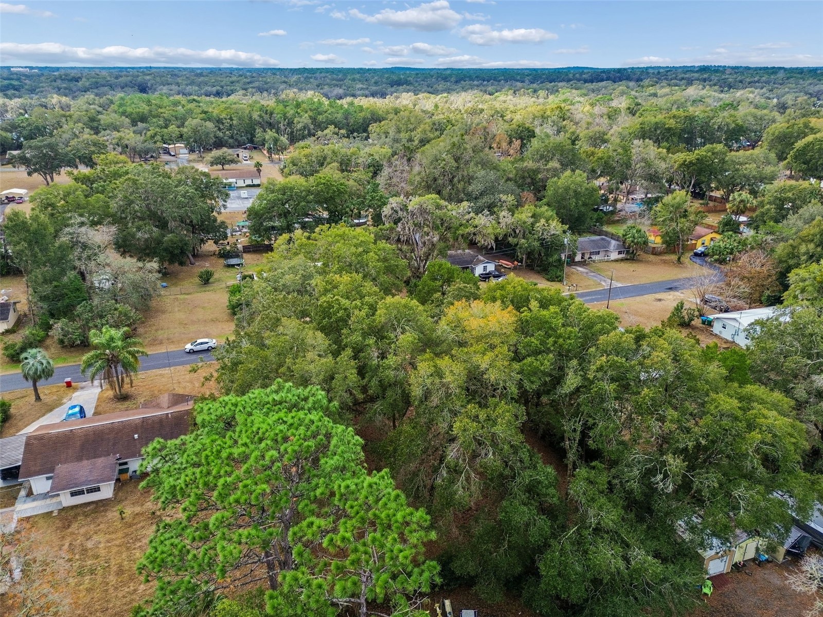 5501 E Live Oak Lane Inverness FL 34453 TB8471066 image40