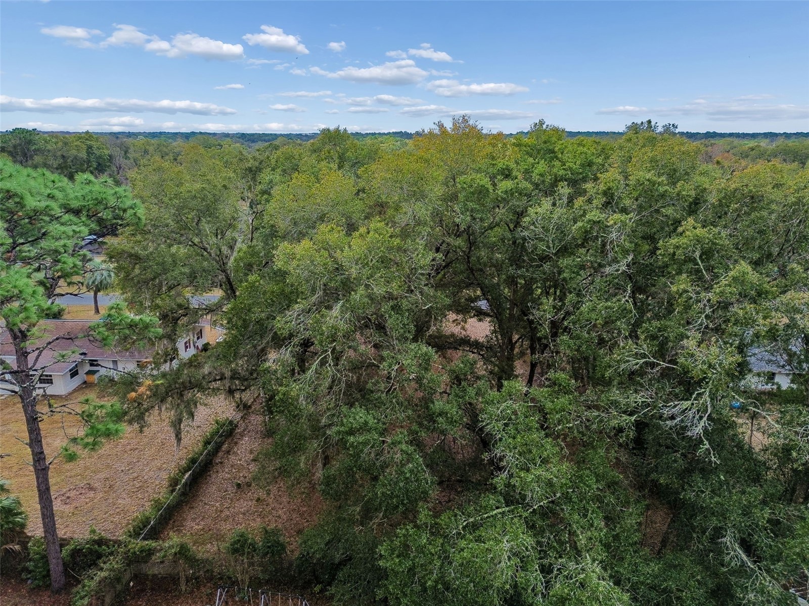 5501 E Live Oak Lane Inverness FL 34453 TB8471066 image42