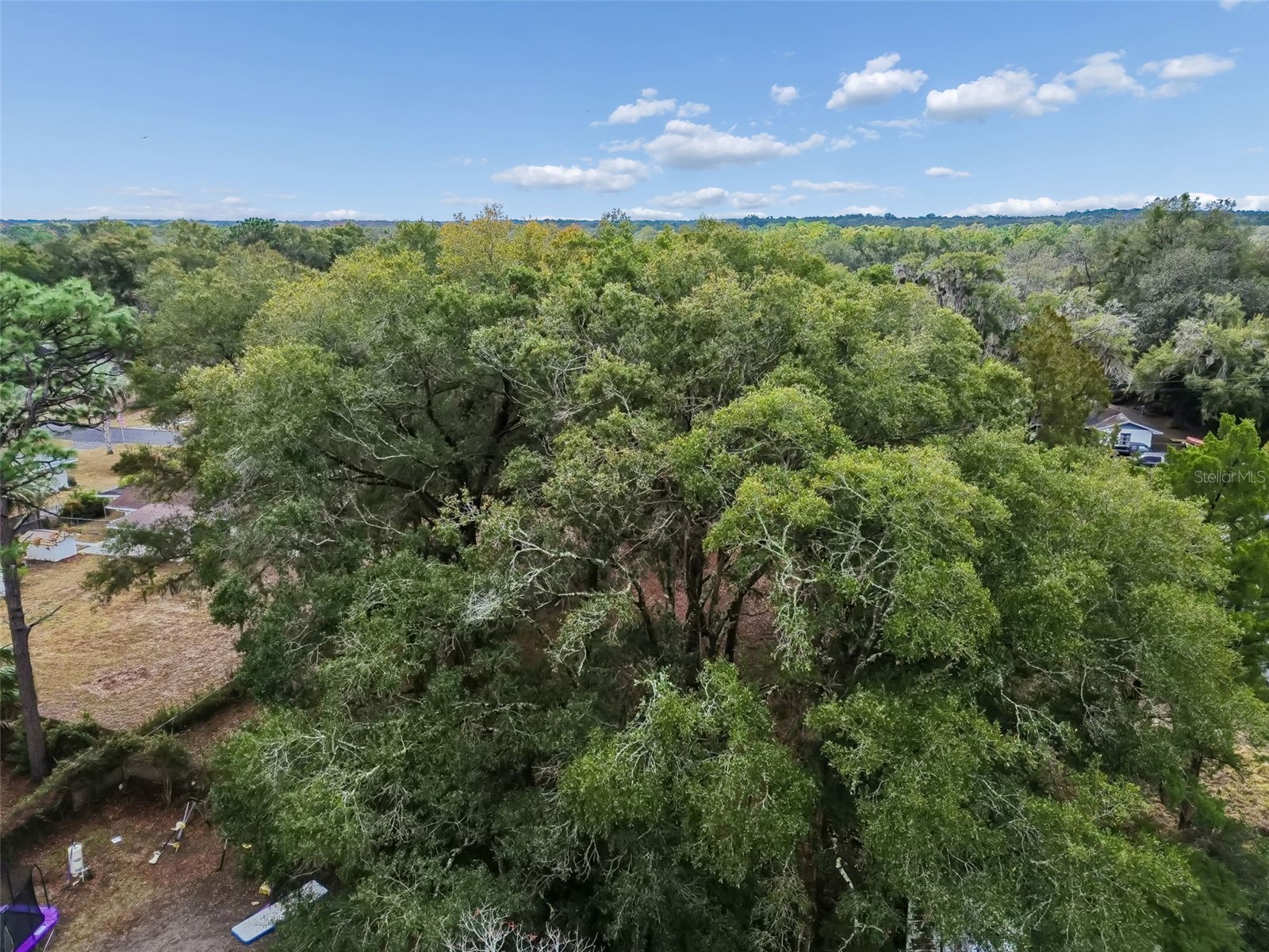 5501 E Live Oak Lane Inverness FL 34453 TB8471066 image43