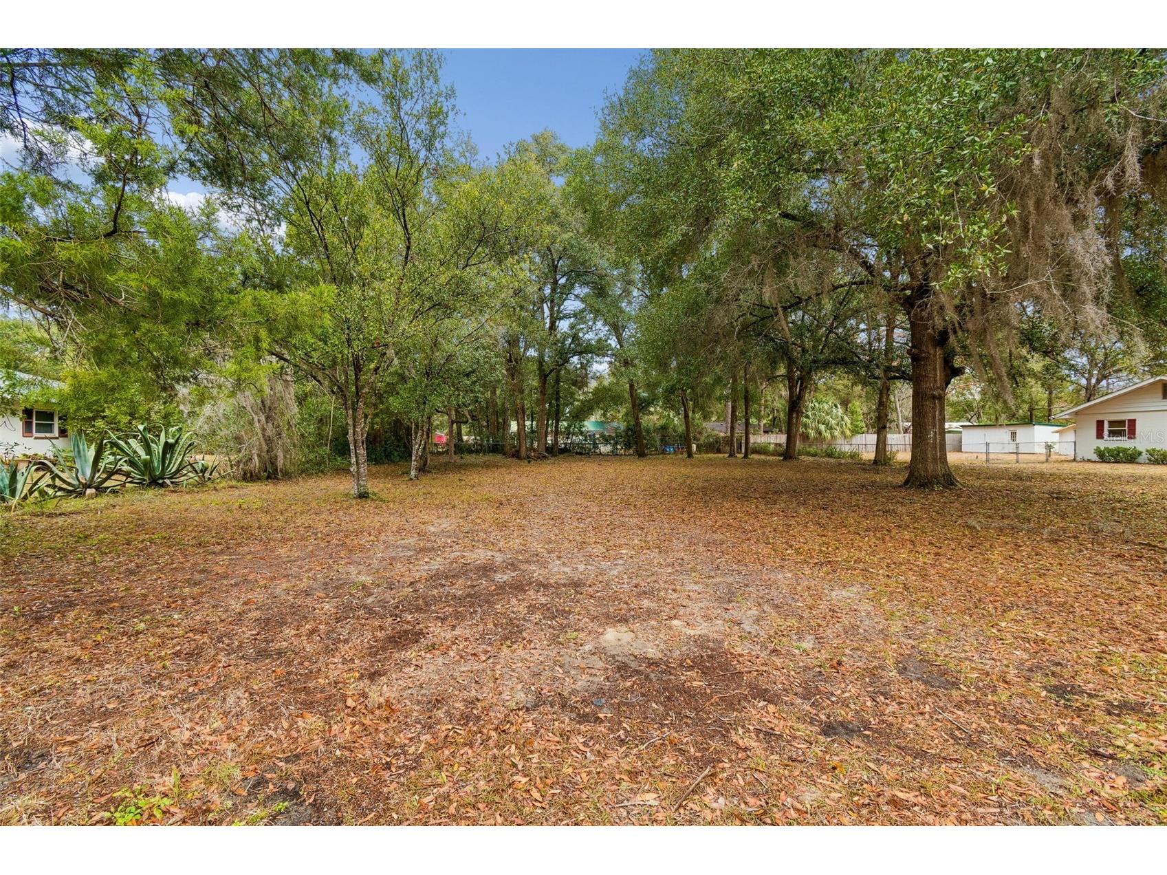 5501 E Live Oak Lane Inverness FL 34453 TB8471066 image5