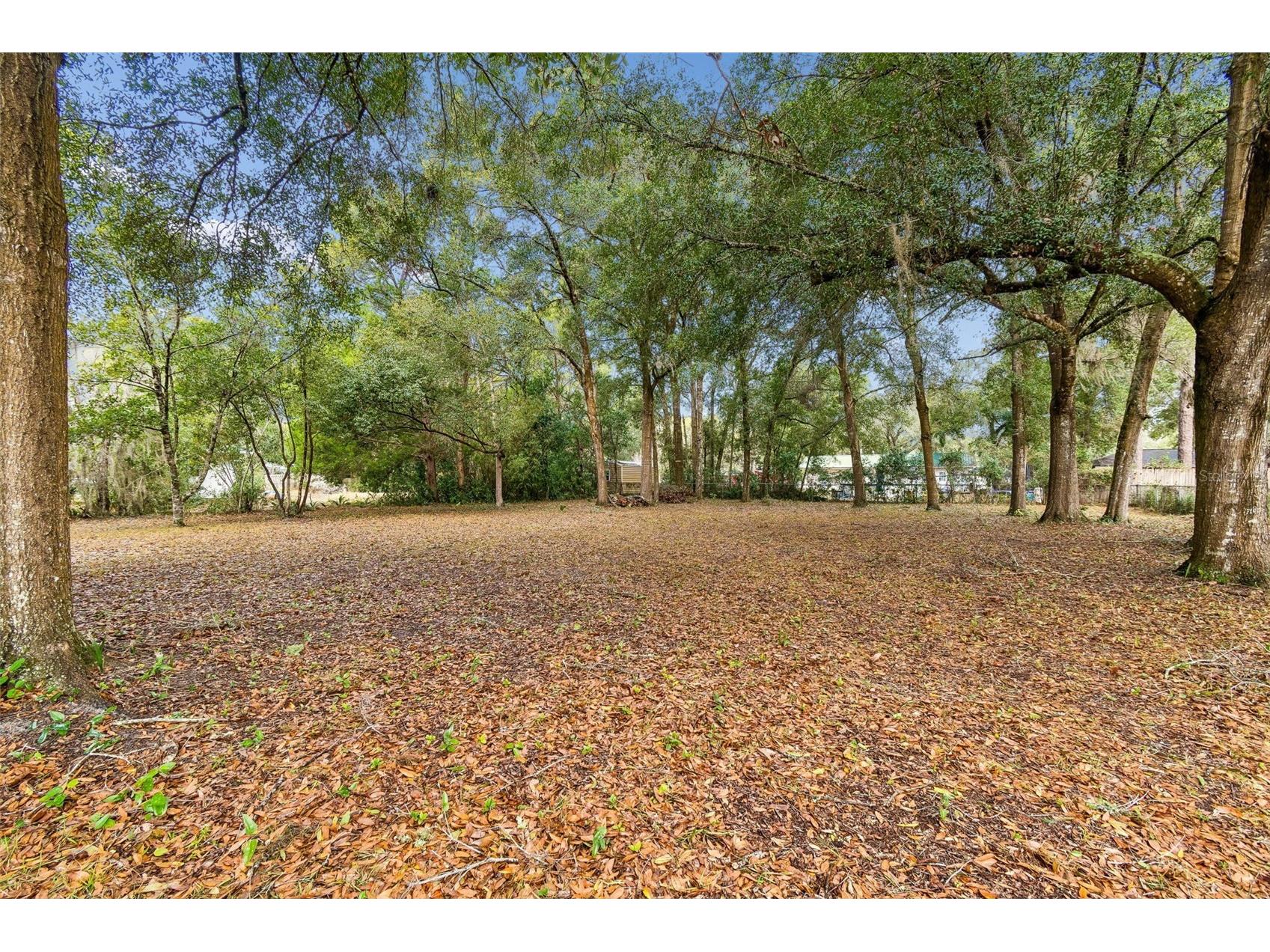 5501 E Live Oak Lane Inverness FL 34453 TB8471066 image8