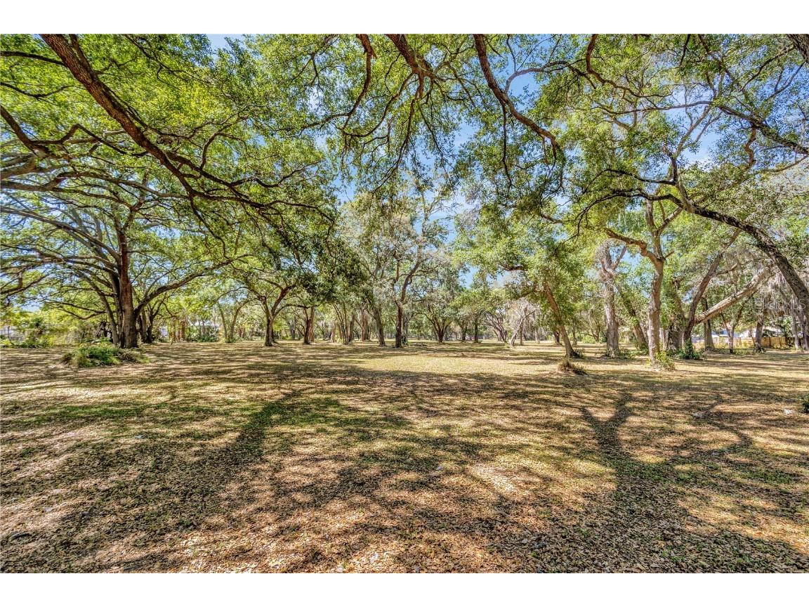 5501 N 37th Street Tampa FL 33610 TB8441150 image27